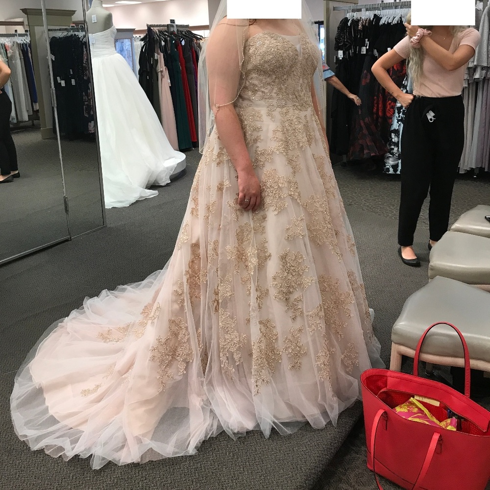 ROSE GOLD WEDDING DRESS, & CATHEDRAL LENGTH VEIL